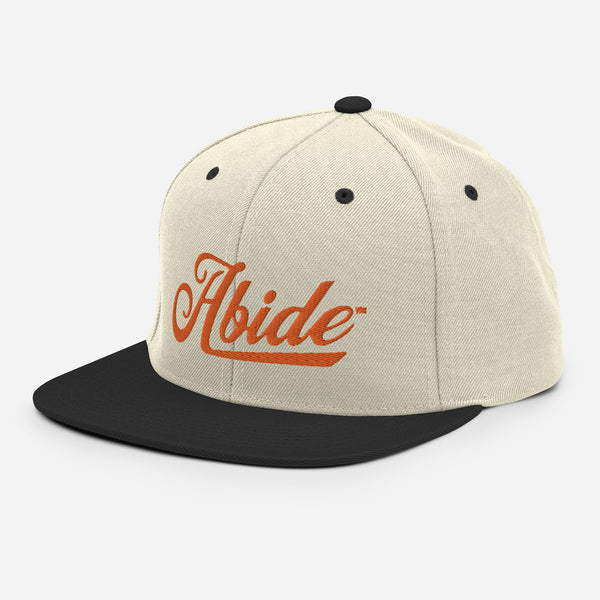 Abide Snapback Hat